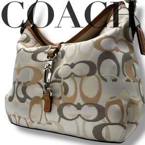 【良品】コーチ アクセサリーポーチ ショルダーバッグ シグネチャー 肩掛け手提げ COACH ハンドバッグ 肩掛け シグネチャー