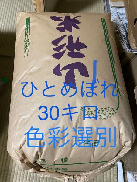 精米無料!山形県産令和6年産ひとめぼれ30キロ玄米30kg 白米コシヒカリ 玄米 あきたこまち