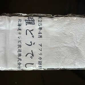 水曜どうでしょう 手ぬぐい