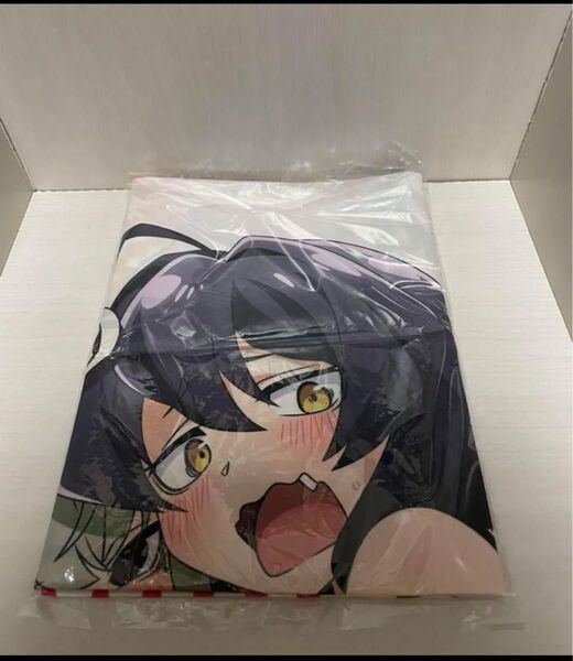 魔法少女にあこがれて 全巻購入特典 B2布ポスター 未開封