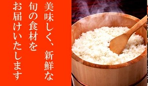 令和５年産　新米　新潟県産こしひかり白米5㌔3000円