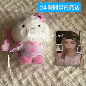 aespa ウィンター シーグリ 2025 ぬいぐるみ トレカ付き 新品未使用