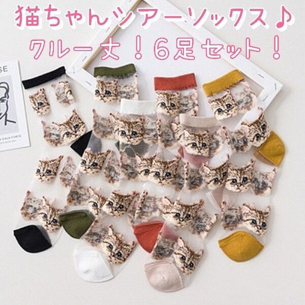 猫 ネコ かわいい シアーソックス シースルー素材 クルー丈 クルーソックス おしゃれ 靴下 ギフト プレゼント プチギフト ねこ