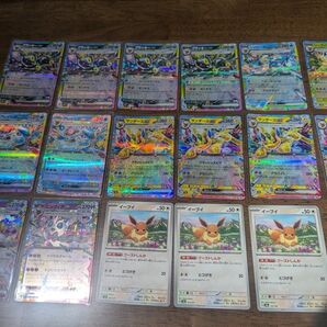 テラスタルフェス ブイズRR14枚まとめ売り ※ノーマルイーブイ3枚おまけつき!