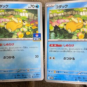 コダック ②枚セット プロモ しめりけ