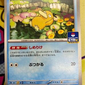 コダック しめりけ プロモ