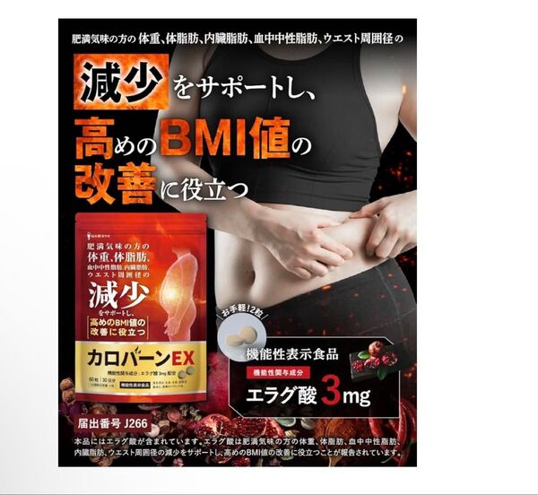 30日分 肥満気味の方の体重 体脂肪の減少を助ける 血中中性脂肪 内臓脂肪 応援 国内生産