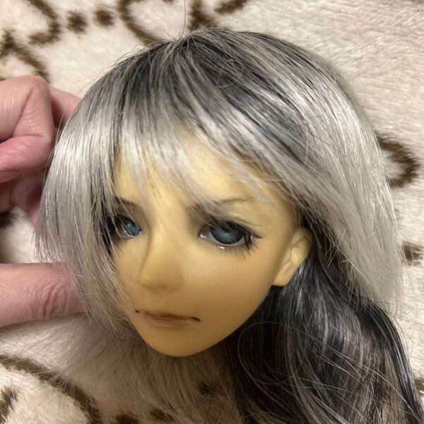 スーパードルフィー ヘッド 人形