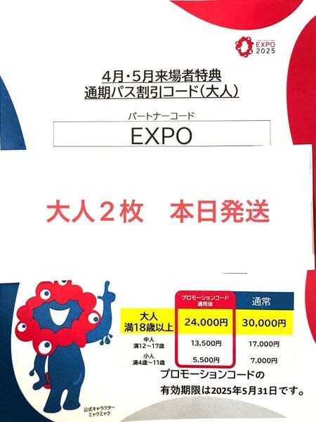 通期パス EXPO2025 大阪関西万博2025 チケット 大阪関西万博 割引コード 大人2枚