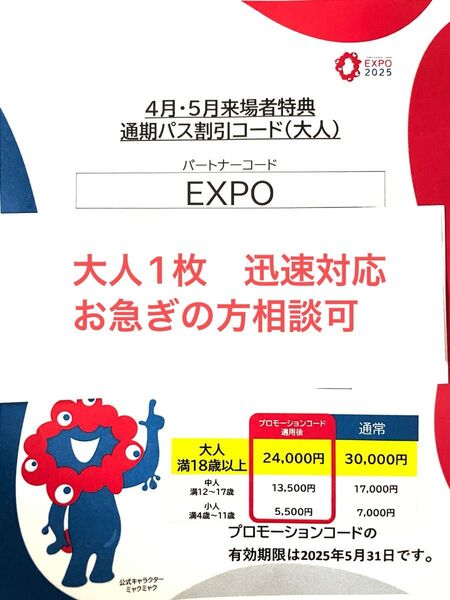 大人1枚 割引コード EXPO2025 大阪関西万博 大阪関西万博2025 チケット 通期パス