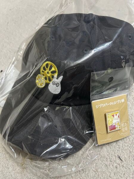となりのトトロ ジブリパークとジブリ展 熊本会場限定キャップ&ピンズ