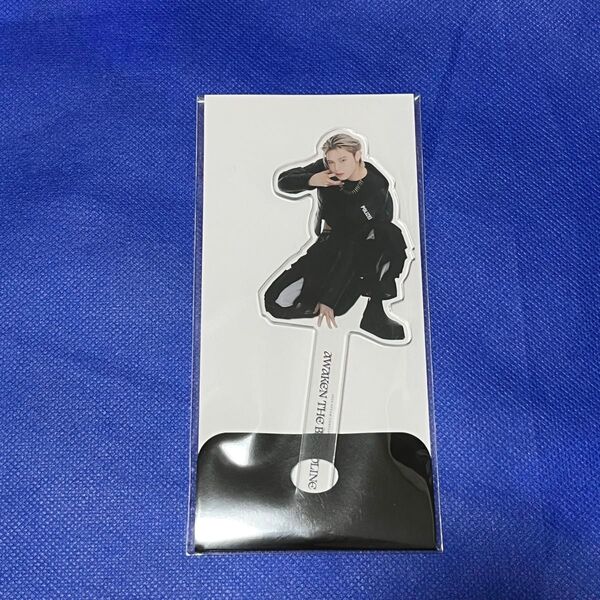 &TEAM K ケイ アジアツアー プロップ AWAKEN THE BLOODLINE PHOTO PROPS エンティーム