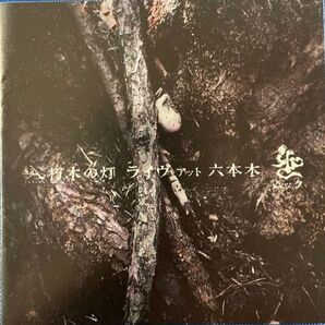 ムック 朽木の灯 ライブ アット 六本木