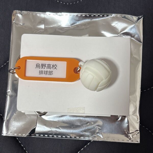 ハイキュー!! 鍵チャーム キーホルダー 烏野