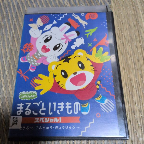 しまじろうのわお! まるごと いきものスペシャル~どうぶつ・こんちゅう・きょうりゅう~dvd