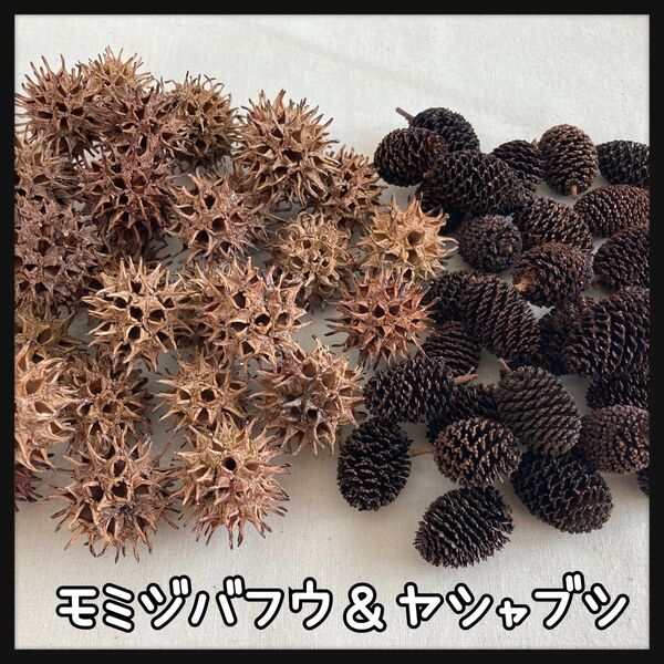 モミジバフウ ヤシャブシ 30個づつ シュリンプ 水槽 アクアリウム ハンドメイド