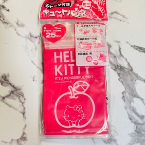 SANRIO サンリオ ハローキティ ミニ ジッパー ジップロック 平成 レトロ
