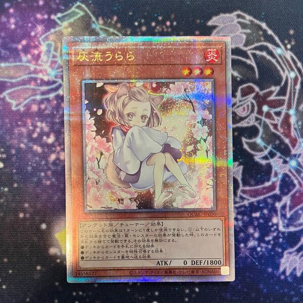 遊戯王 クォーターセンチュリーアートコレクション 灰流うらら 25thクオシク