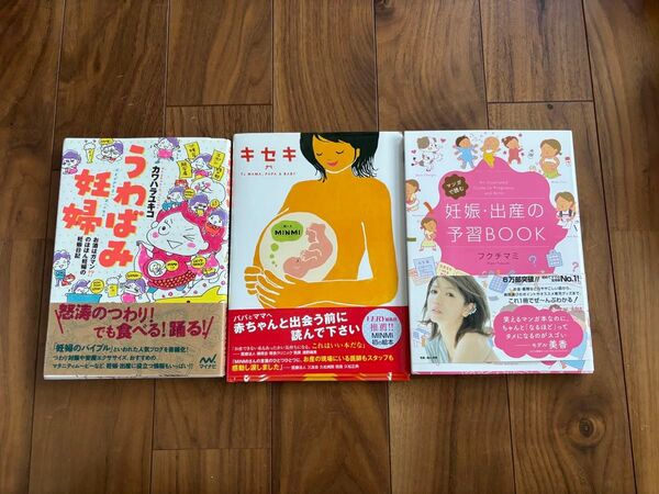 妊娠 妊婦 出産 本 絵本 漫画 MINMI フクチマミ カワハラユキコ 本