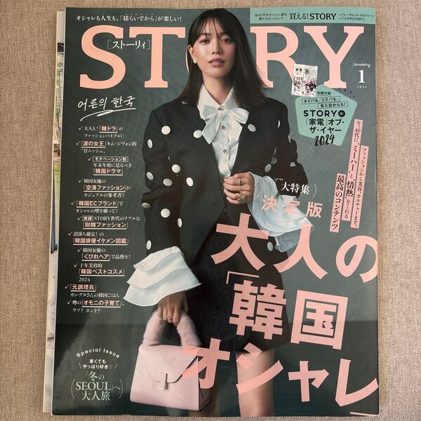 STORY(ストーリィ) 2025年1月号 (光文社) STORY(ストーリィ) 2025年1月号 (光文社)