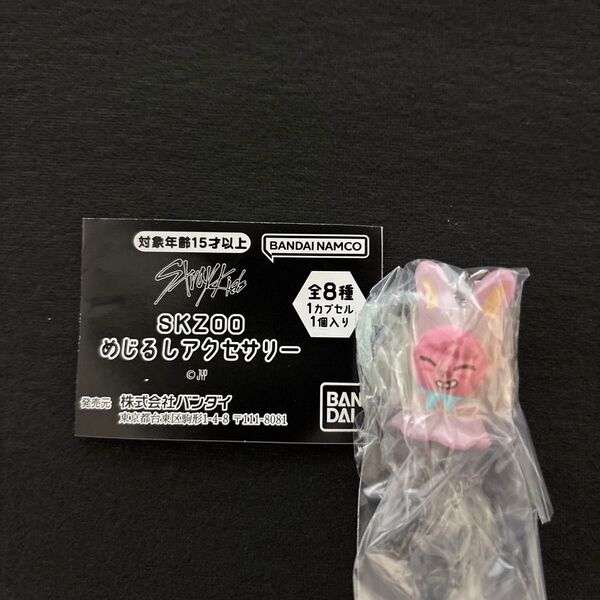 Stray Kids SKZOO めじるしアクセサリー トゥエッキ