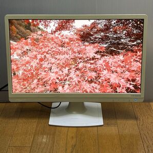【送料無料】【 黄ばみ】【HDMI端子有り】I-O DATA 21.5インチ LCD-MF223ESW-B2