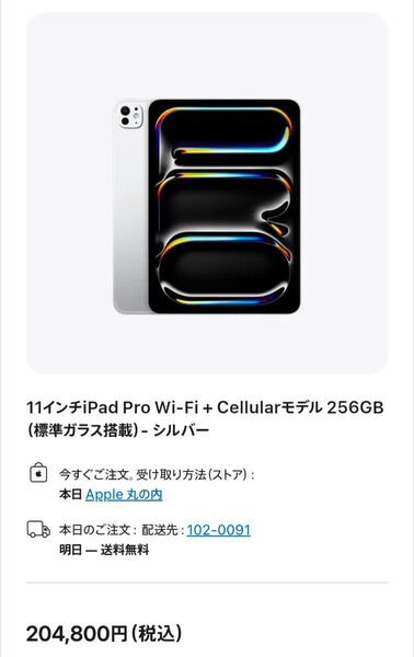 【極美品】iPad Pro 11インチ M4 Wi-Fi + Cellular 256GB 標準ガラス搭載 シルバー 2024年