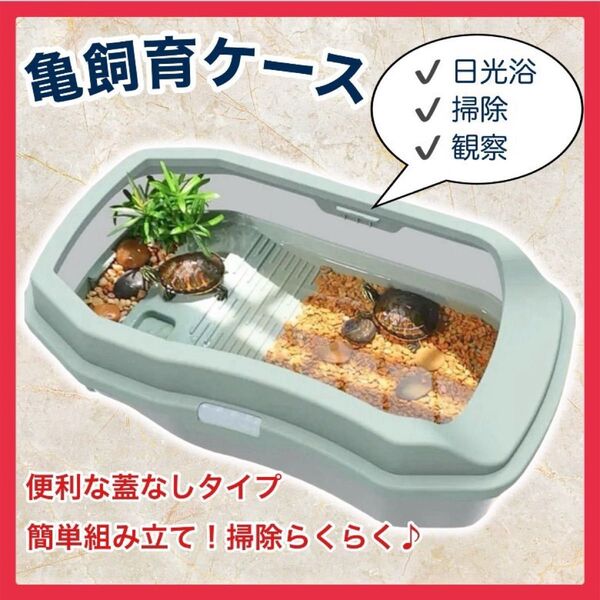 【新品】亀飼育ケース 爬虫類 両生類 水槽 ミドリガメ ザリガニ カニ ペット
