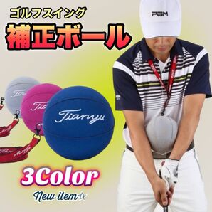 ネイビー スイング ゴルフ練習器具 矯正 キャンディボール ゴルフ