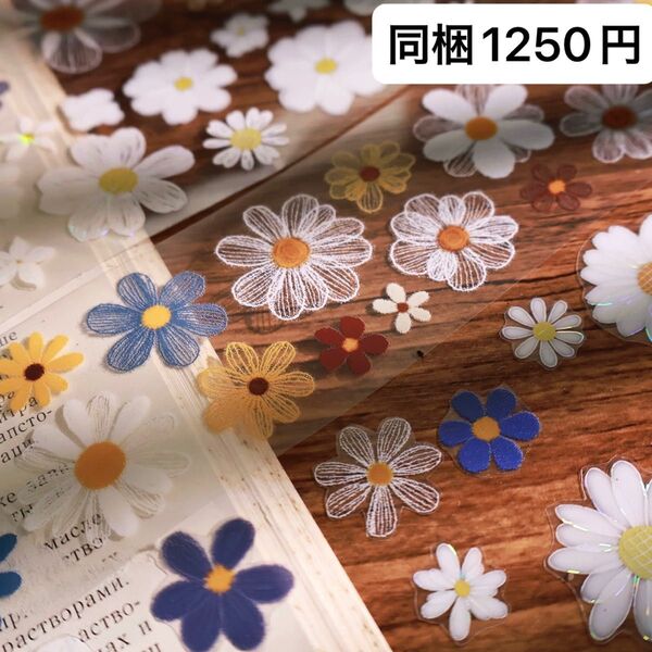 新品 絨絨花 PETマスキングテープ マステ 5m