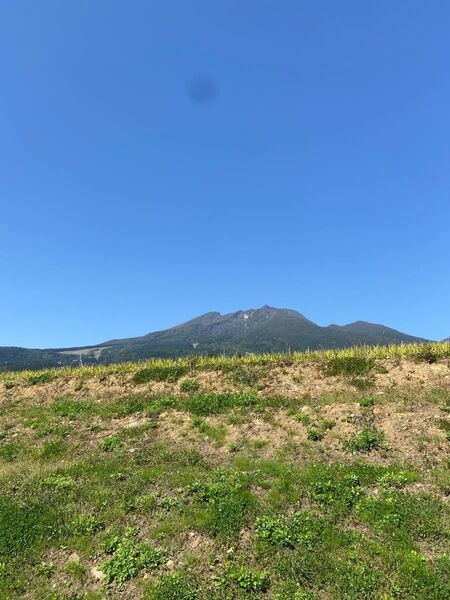 令和6年 新潟県産 白米9kg つきあかり