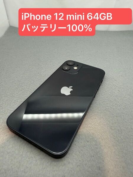 iPhone 12 mini 64GB バッテリー100% SIMロック解除済み -6426