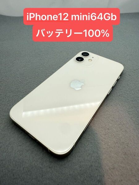 iPhone 12 mini 64GB バッテリー100% SIMロック解除済み -0196