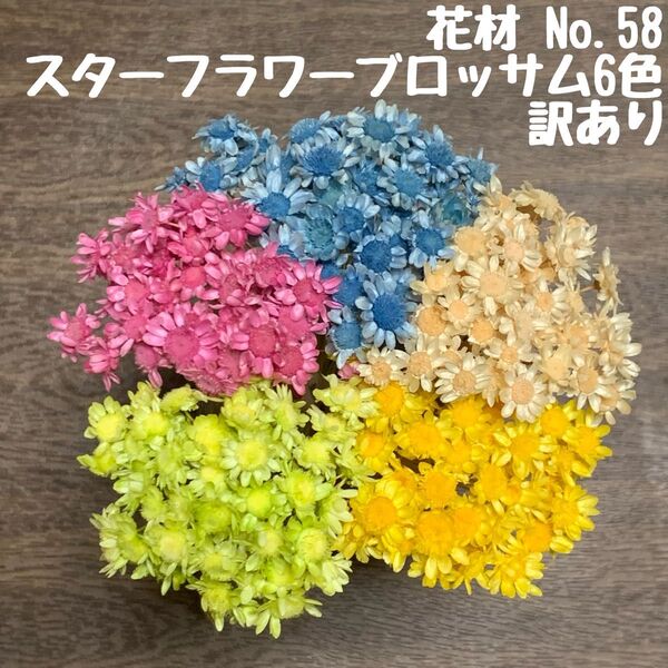 花材 No.58 スターフラワー・ブロッサム 訳ありセット♪