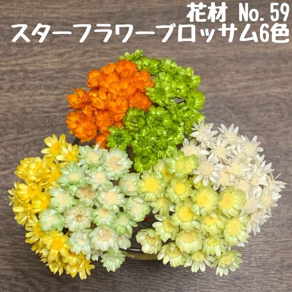 花材 No.59 スターフラワー・ブロッサム6色セット