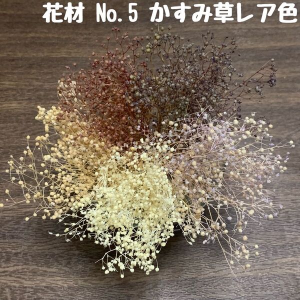 花材 No.5 かすみ草 レア5色セット