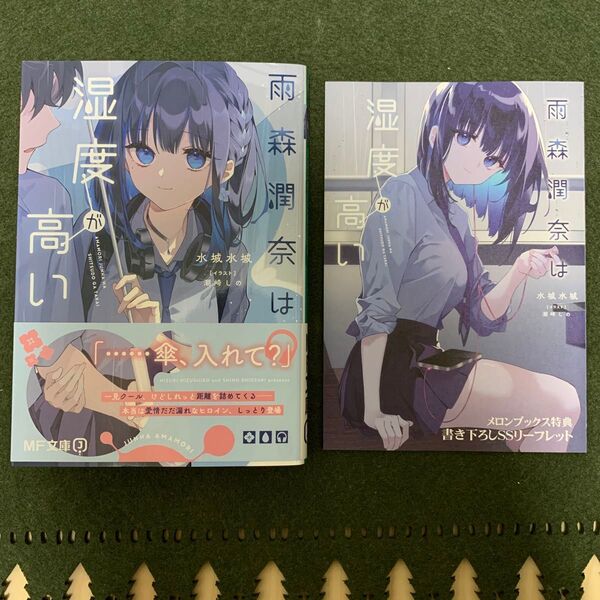 雨森潤奈は湿度が高い (MF文庫J み-12-03) 水城水城/著