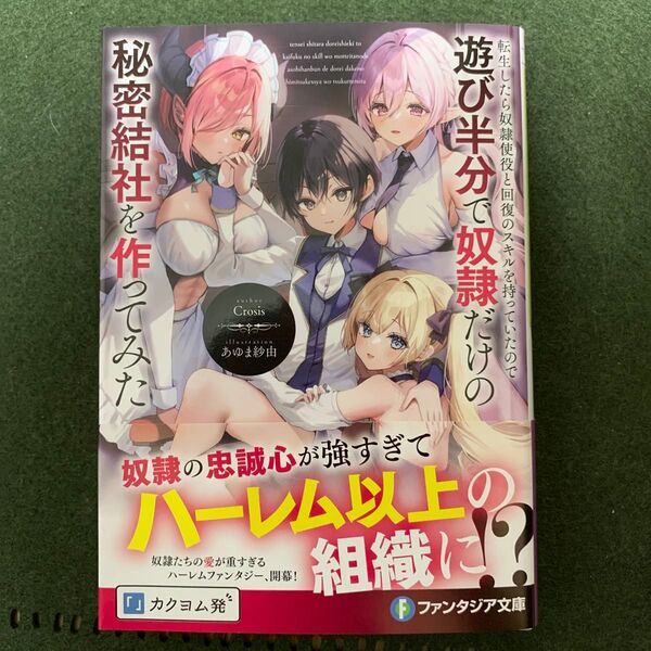 転生したら奴隷使役と回復のスキルを持っていたので遊び半分で奴隷だけの秘密結社を作ってみた 富士見ファンタジア文庫 Crosis/著