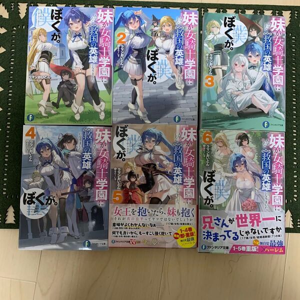 妹が女騎士学園に入学したらなぜか救国の英雄になりました。ぼくが。 1〜6 (富士見ファンタジア文庫 ラマンおいどん/著