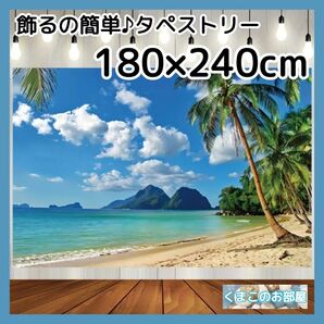 【特価品】 特大タペストリー 背景布 ビーチ 南国 バカンス インテリア 41f