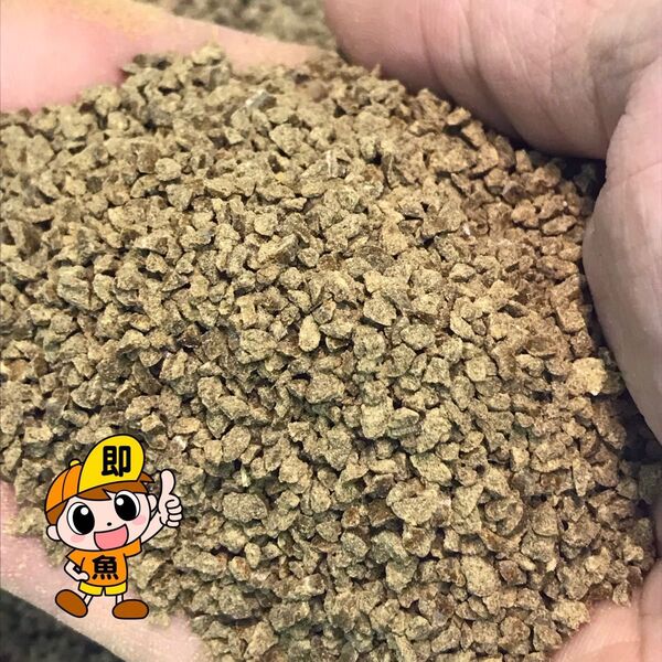 らんちゅう 2㎜クランブル餌 500g入り 獅子頭 金魚 錦鯉に最適 サナギミール配合で嗜好性大幅にUP 沈下性