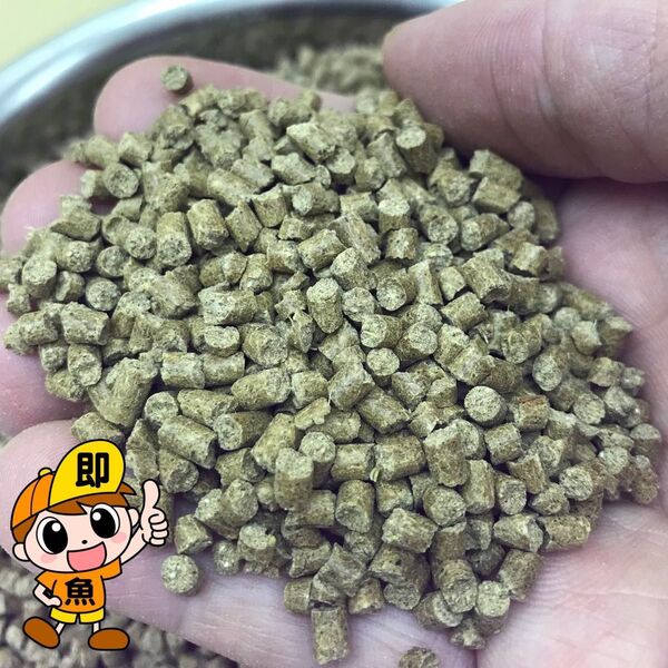 3㎜ペレット1200g入り らんちゅう 金魚 錦鯉 小型熱帯魚に最適 高タンパク 沈下性 ザリガニ ヌマエビにも有効です