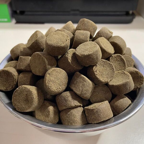 超特大20㎜サイズ『クエ ハタEP20号』500g 沈下性 大型錦鯉 大型ナマズ 大型熱帯魚の餌 タンパク質50%