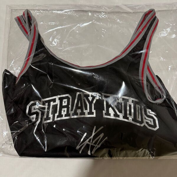 StrayKids スキズ アプグレ アップグレード 特典エコバッグ メッシュエコバッグ エコパ静岡