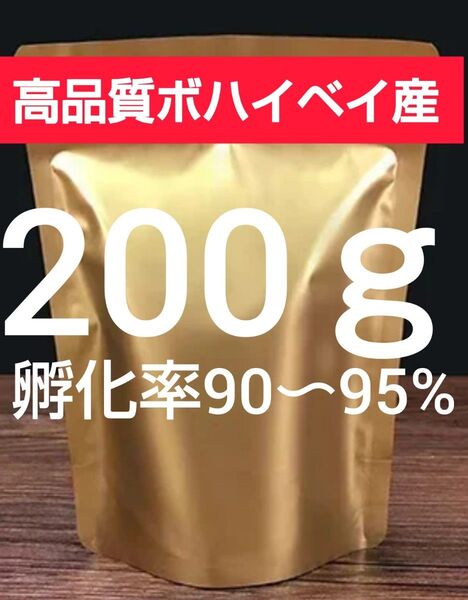 【高品質ボハイベイ産 孵化率90〜95% 24時間孵化 微細卵】ブラインシュリンプエッグ 200g