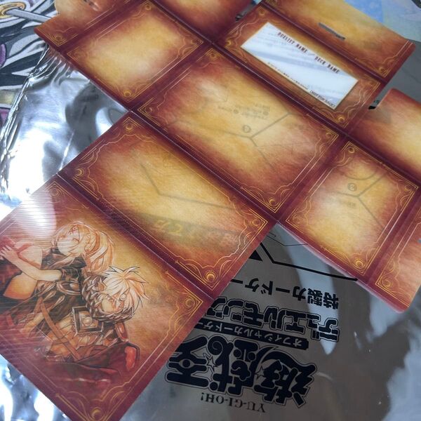 遊戯王の日 アルバス 烙印 デッキケース
