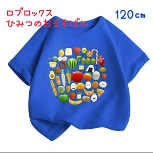 値下げ 大人気 ロブロックス ひみつのおるすばん Tシャツ 青 ブルー キッズ 子供 120 半袖 トップス 半袖Tシャツ