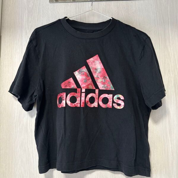 アディダス レディース 短丈 ロゴTシャツ グラフィック