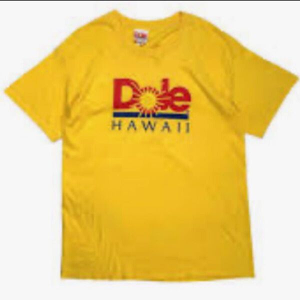 DOLE HAWAI ドール ハワイ Tシャツ ビックロゴ 古着 S