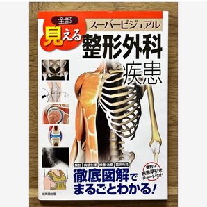 整形 全部見える整形外科疾患